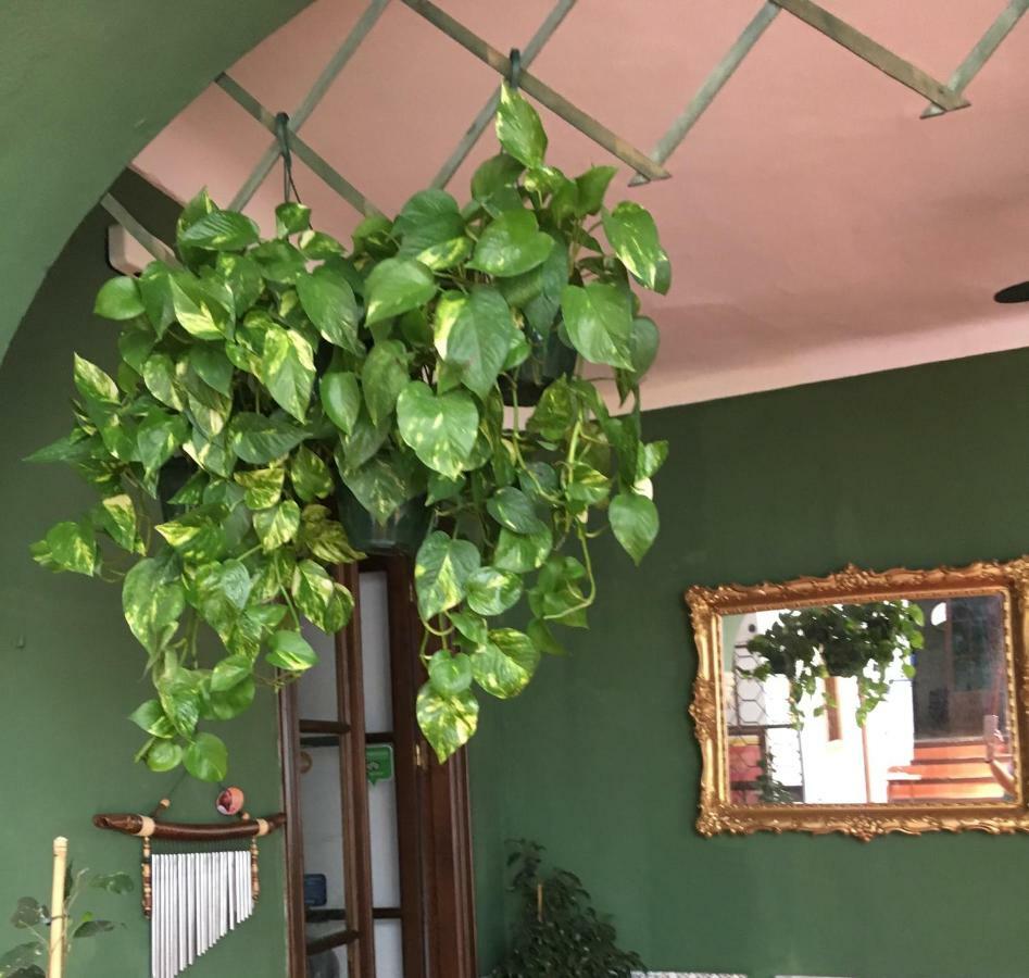 Guest house El Sueno De La Juderia *